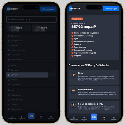 Бонусная программа